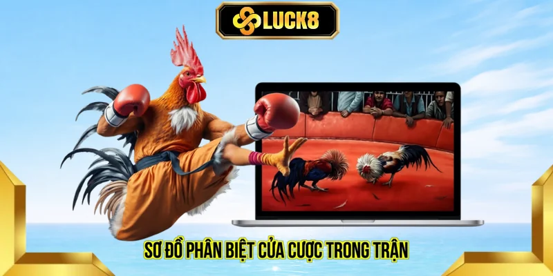 Sơ đồ phân biệt cửa cược trong trận 